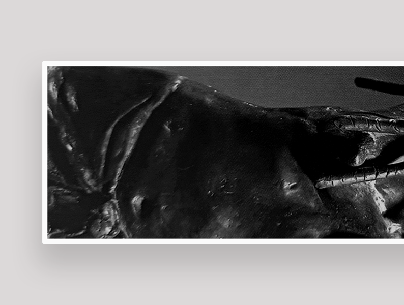 Portfolio Image