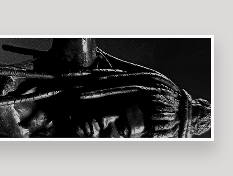 Portfolio Image