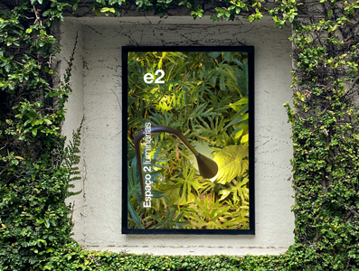 Portfolio Image